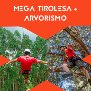 MEGA-TIROLESA-+-ARVORISMO